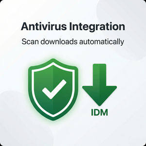 IDM官网 - IDM内存隔离